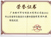 山東省學(xué)生裝設計大賽優(yōu)秀團隊獎