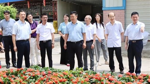 自治區政協(xié)常委、梧州市政協(xié)主席黃振饒蒞臨百裕集團走訪(fǎng)調研